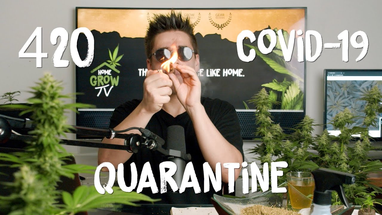 420 Celebration in Corona Quarantine | Giveaways Blunts Dabs Edibles and Unboxing New LED Lights