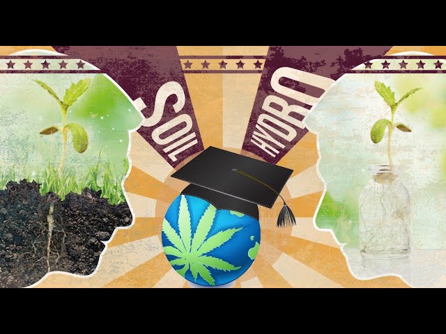 Cannabis Growing - Hydroponics V. Soil Overview