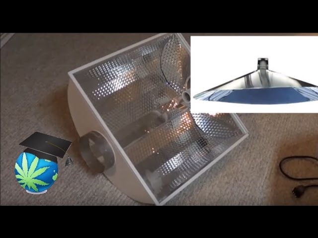 Complete Guide: How to Choose the Essentials of a Reflector for Your Grow Room