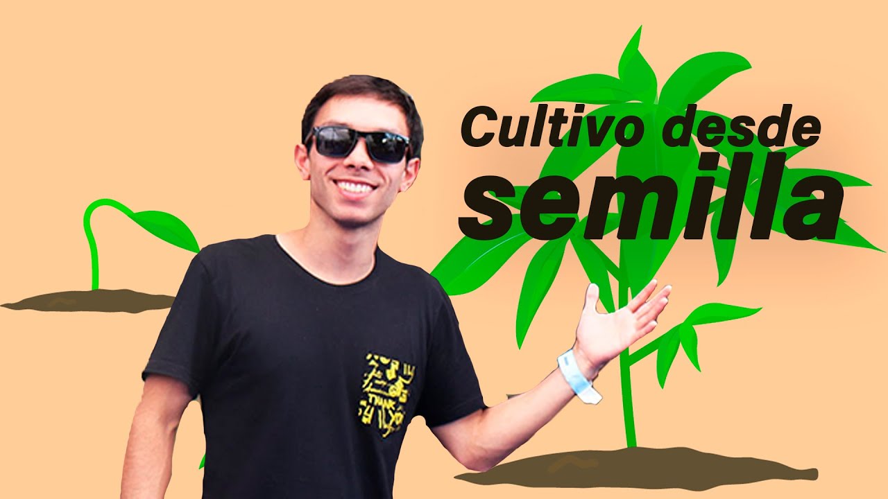 From SEED to BUD: Cultivation from 0