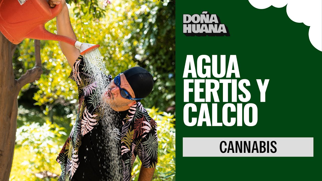 Calcium in Fertilizers: Types of Water and Their Importance in Advanced Cannabis Cultivation