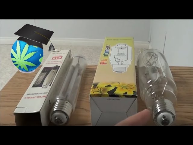 Metal Halide vs. HPS for Optimal Plant Growth