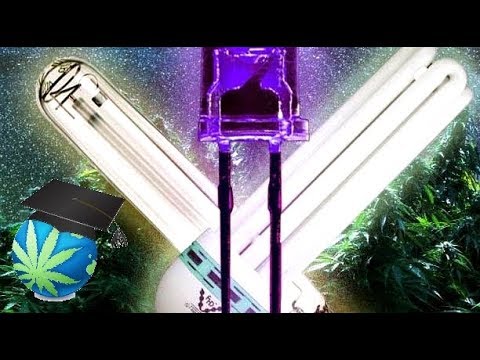 HID, LED vs. Fluorescent Light Bulbs: Proper Handling and Disposal Guide