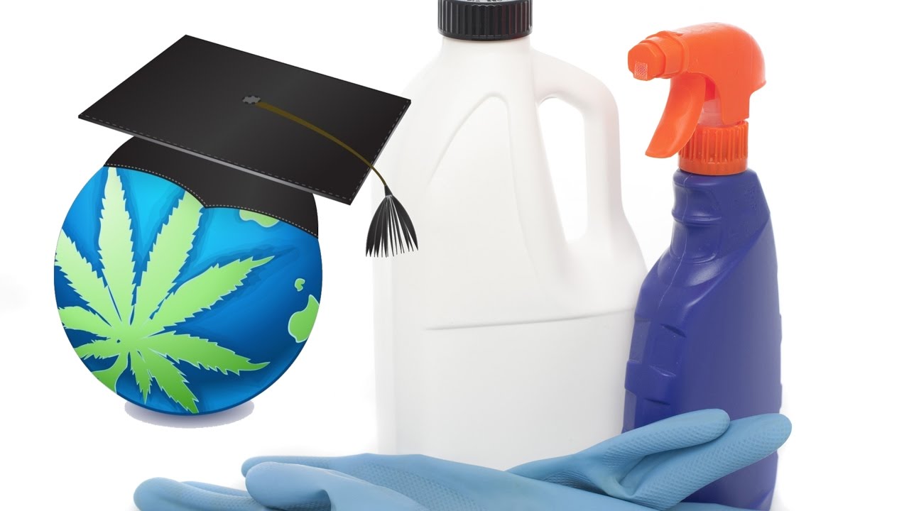 How To Clean & Disinfect A Hydroponics System