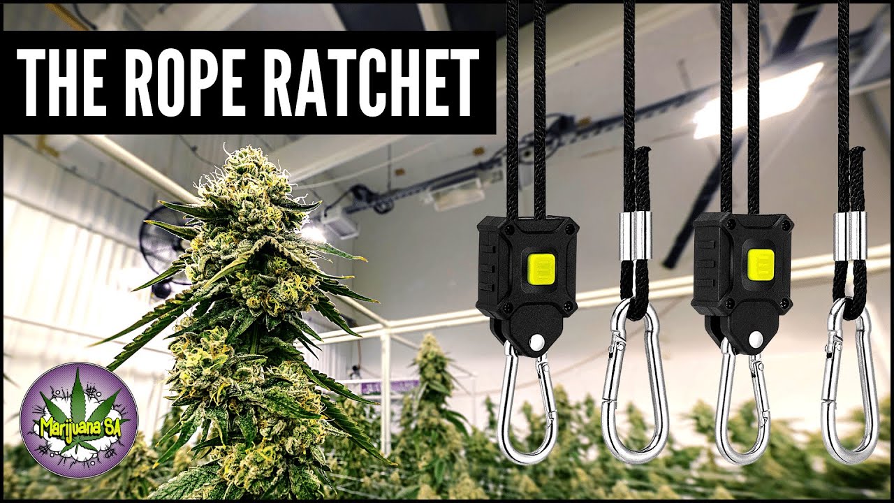 How to Hang a Grow Light in a Grow Tent
