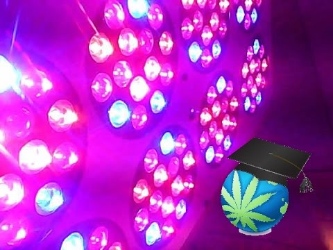 LED Grow Light Basics - Choosing A Light Guide