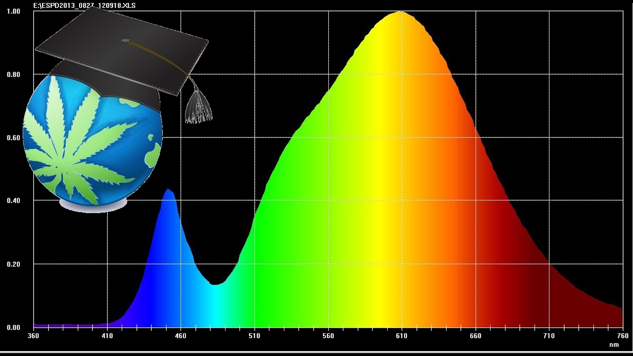 Complete Guide to Lumens and Light Spectrum: The Basics of Growing Cannabis Indoors