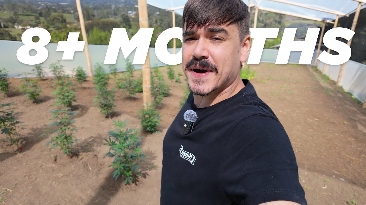 The Home Grow TV Mission | Seed to Harvest Experts