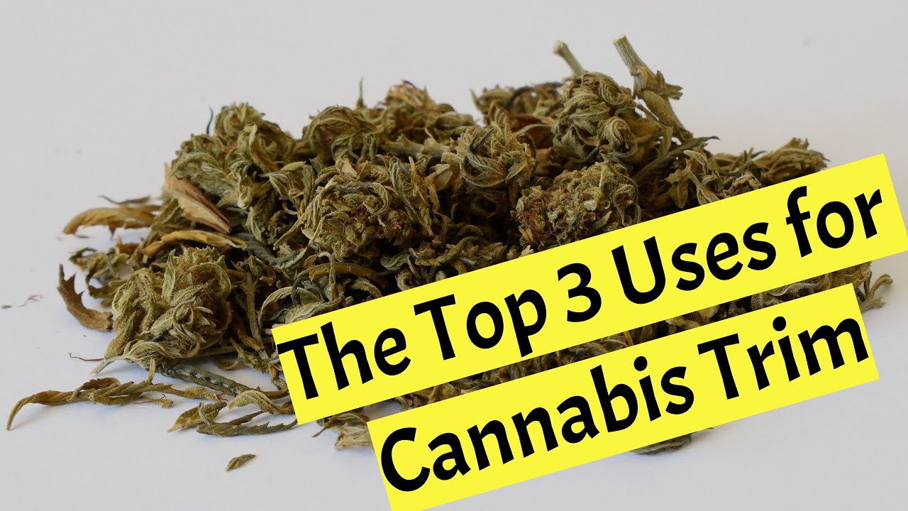 The Top 3 Uses for Cannabis (Weed) Trim
