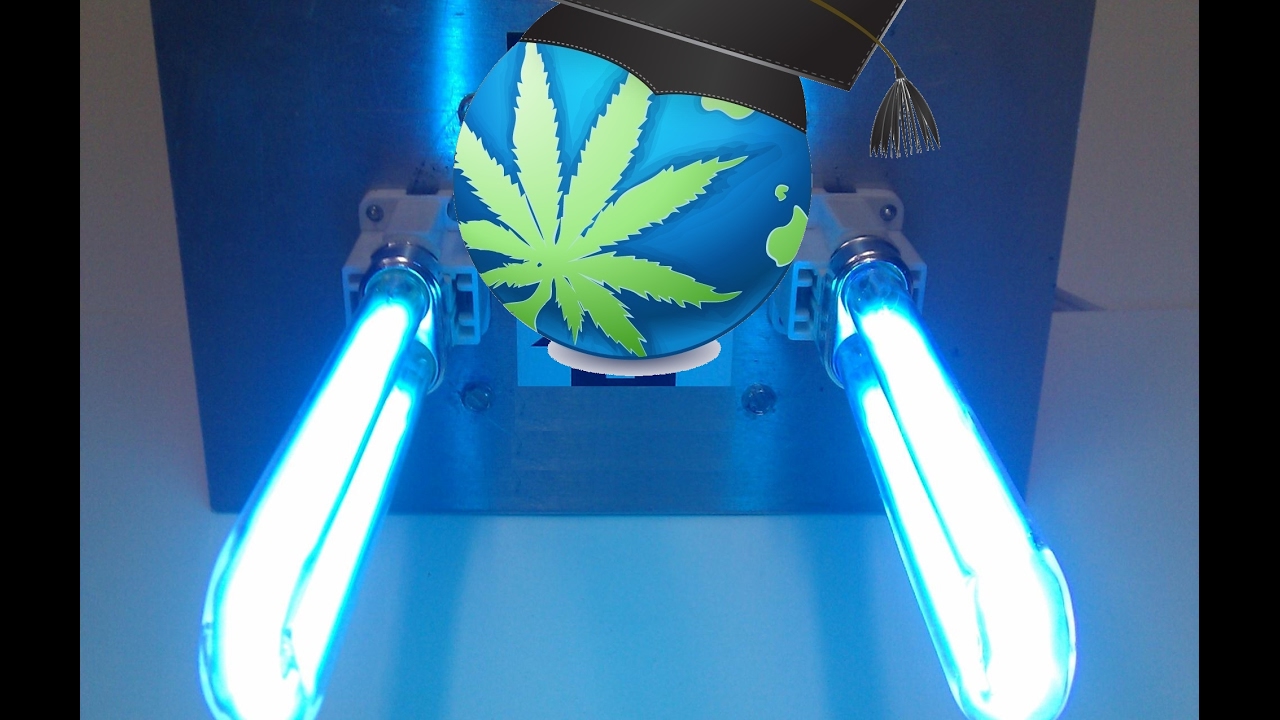 UV Light Basics – Cannabis Growing Lessons