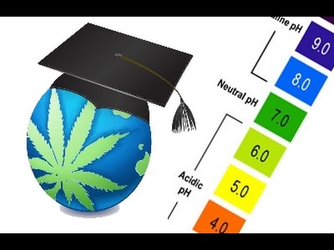pH Range Guide for Cannabis - Soil  Hydroponics