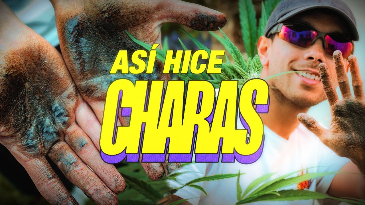 How is CHARAS made? | Complete Guide to Preparing Handmade Marijuana Concentrate