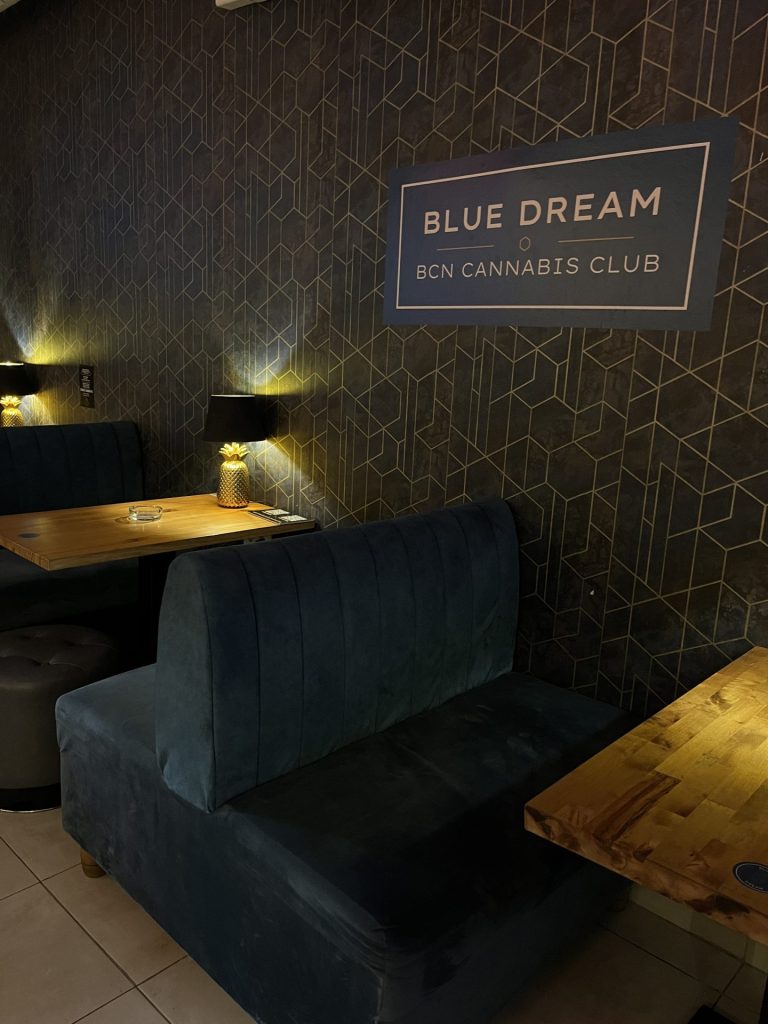 Blue Dream Social Club sign in the lounge